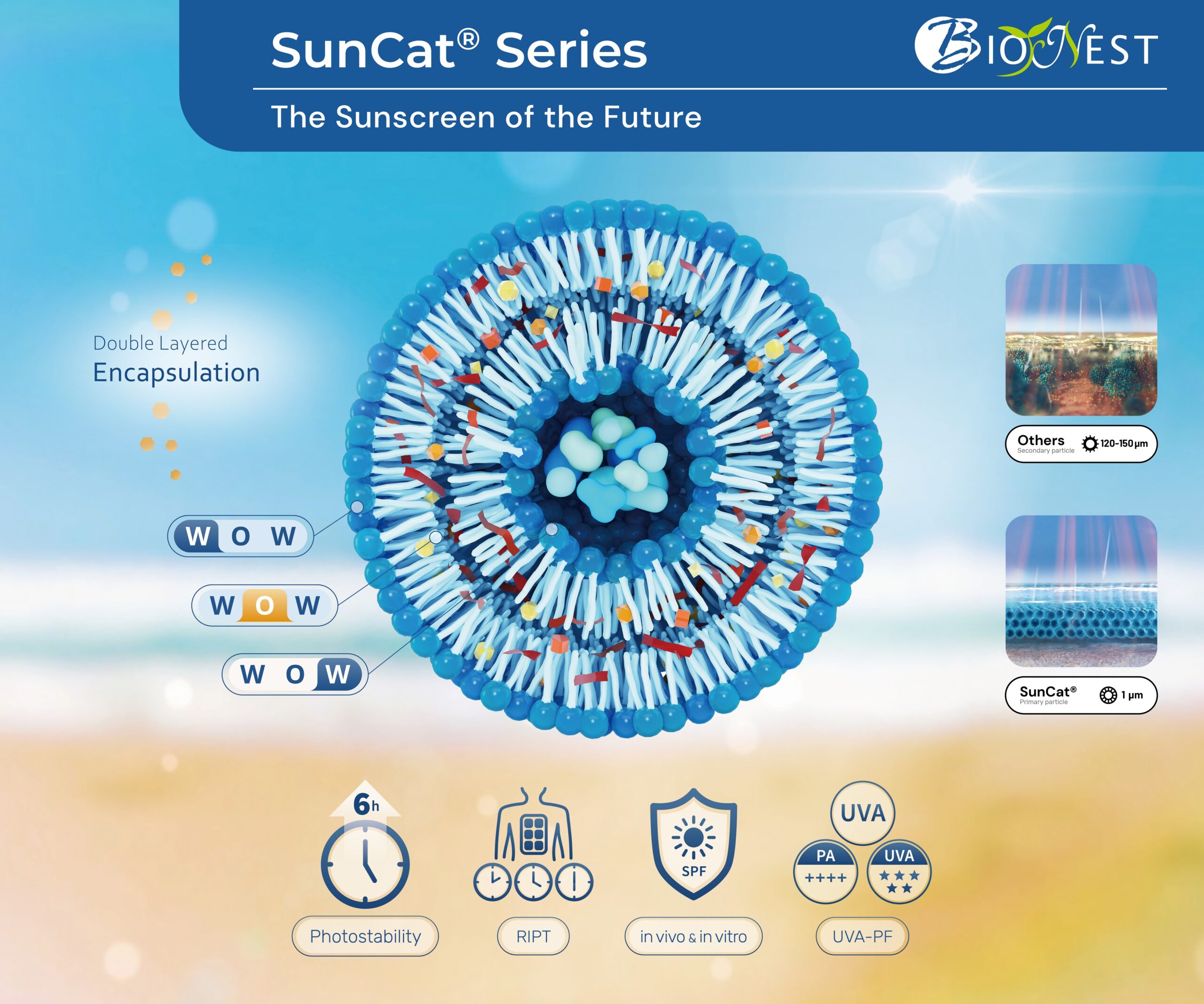 SunCat MTA